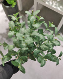 2021Wedding home decoration simulation green plant silk flower 120 leaves mint leaves
