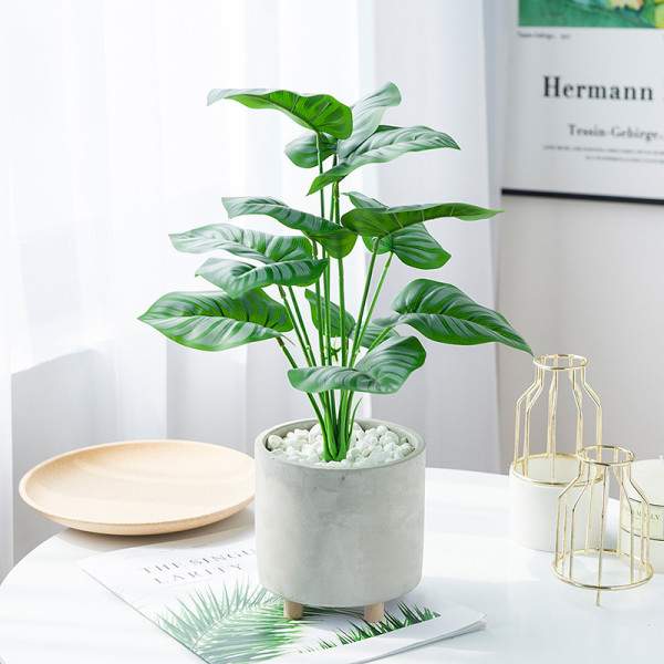 2021BanJiao bundle potted Nordic style home decoration 12 simulated Green Peacock leaves