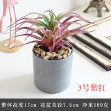 2021Manufacturers wholesale bonsai simulation flowers plastic plant ornaments artificial meat