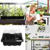 12 Hole Seedling Trays Seed Starter Plant Grow Box Propagation For Gardening Grow Starting Plant Propagator Seed Trays