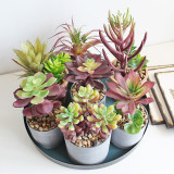 2021Manufacturers wholesale bonsai simulation flowers plastic plant ornaments artificial meat