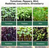 6 cells Plastic Nursery Pots Planting Seed Tray Kit Plant Germination Box with Dome and Base Garden Grow Box Gardening Supplies