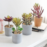 2021Manufacturers wholesale bonsai simulation flowers plastic plant ornaments artificial meat