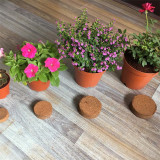 50mm Bingfeng Peat Pellets Seedling Soil Block Professional For Plant Seedling Coco Peat Pellets