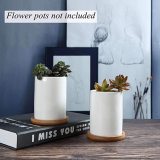 Planter Pot Wooden Saucer Round Set of 6 Succulent Pot Holder Drainage Tray Succulent Planters Holding Saucer