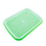 New Double Layer Vegetable Bud Tray Seedling Tray Vegetable Seed Wheat Seedling Nursery Flower Pot Family Plant Tool