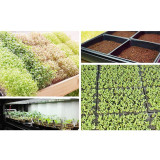 Soil Blocks Wheatgrass With High Hardness Seed Starters Growing Trays Mesh Bottom Micro greens Recycled Plastic Seedling Tray