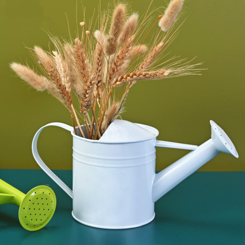 Hot Selling Metal Pot Can Outdoor Garden Watering Can Metal Watering Pot Garden Tin Plant Watering Pot