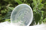 Clear Round Plastic Saucer Seeding Plant Saucer Transparent Flower Planter Pot Tray