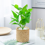 5 small fork Mini simulated green plant bundle potted plants Nordic style home decoration fake flower bonsai