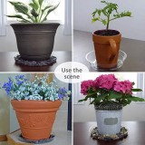 Hydroponics  all sizes garden plant  clear plastic saucer