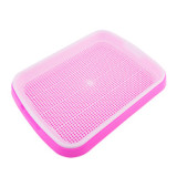 New Double Layer Vegetable Bud Tray Seedling Tray Vegetable Seed Wheat Seedling Nursery Flower Pot Family Plant Tool