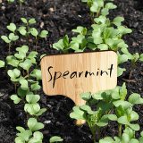 High Quality Creative Decorative Garden Plant Label Plant Tags Plant Label