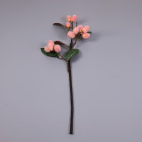 Simulation 14 fruit loquat indoor home home study meaty ornaments shop decoration vase flowers