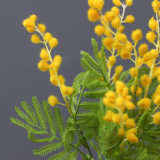Simulated small bunch of Acacia indoor home flower arrangement ornaments Hotel table bottle flowers