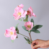 2021 Home wedding cloth exhibition decoration anti real flower photography props simulation anemone
