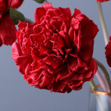 Mother's day holding a bouquet to give a teacher a gift a single moisturizing carnation artificial flower