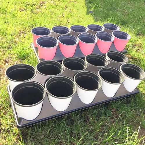 Flowerpot Tray Two Color Flowerpot Color Flowerpot Export Tray Tray Color Printing