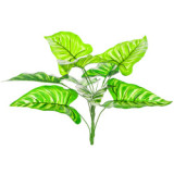 2021Simulated green plant bundle potted Nordic style home decoration 9 horseshoe leaves