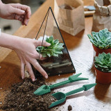 2pcs Colorful High Quality Garden Tools Transplanter Transplant Tool Set Gardening Hand Transplanting Mini Tools