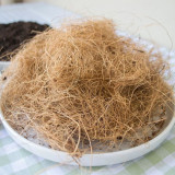 Coconut Shell Fiber Potted Household Green Plant Coconut Fiber