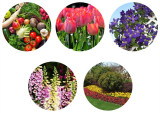 High Quality Succulents Float Seed Tray Planter Plates Nursery Tray Seed Plastic