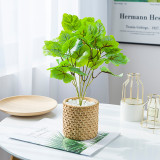 2021Simulated green plant bundle potted Nordic style home decoration 5 alum roots