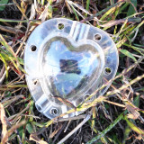 Wholesale Plastic Fruit Vegetable Mold Tool Garden Heart Shape Strawberry Mold Transparent Mold