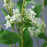 Artificial plant false leaf soft decoration garden landscaping plant decoration flower with fruit rice firewood leaf