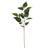 2021Simulated hand feel simulated green plant Bodhi leaf home indoor living room decoration artificial flower