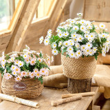 2021Wedding home simulation silk flower pastoral decoration 24 small daisies