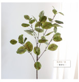 2021Artificial green plant silk flower leaf green plant wedding simulation Chala leaf