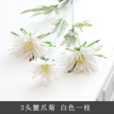 3 head imitation flower crab claw chrysanthemum silk flower hand moisturizing dragon claw chrysanthemum wedding decoration