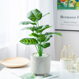 2021BanJiao bundle potted Nordic style home decoration 12 simulated Green Peacock leaves