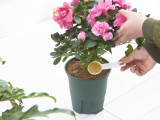 Eco-friendly plastic seeding spoon high-quality garden planting tool spoon