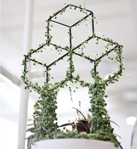 Hot Selling Square Decorative Supporting Frame Frame For Flower Flower Support