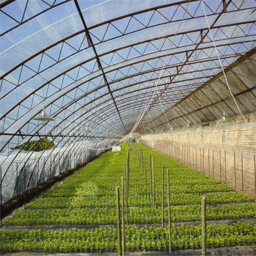 Wholesale Greenhouse Clear Plastic Film Thicken Greenhouse Covering Film Agricultural Plastic Film Greenhouse