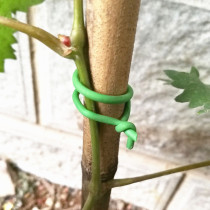 Hot Seling 16/20/77/100M TPR Binding Wire Roll Durable Binding Wire Manufacturer Outdoor Garden Planting Binding Wire