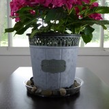 6 inch garden plant clear round plastic saucer Flower Planter Pot Tray