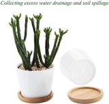 Planter Pot Wooden Saucer Round Set of 6 Succulent Pot Holder Drainage Tray Succulent Planters Holding Saucer