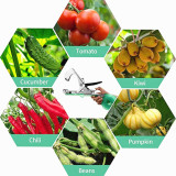 Wholesale Bind Branch Machine Outdoor Vine Banding Machine Tape Binder Agriculture Garden Grafting Tools