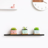 Planter Pot Wooden Saucer Square Set Of 6 Succulent Pot Holder Drainage Tray Succulent Planters Wooden Saucer