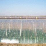 Wholesale Greenhouse Clear Plastic Film Thicken Greenhouse Covering Film Agricultural Plastic Film Greenhouse