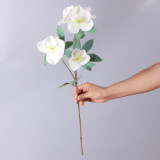 2021 Home wedding cloth exhibition decoration anti real flower photography props simulation anemone