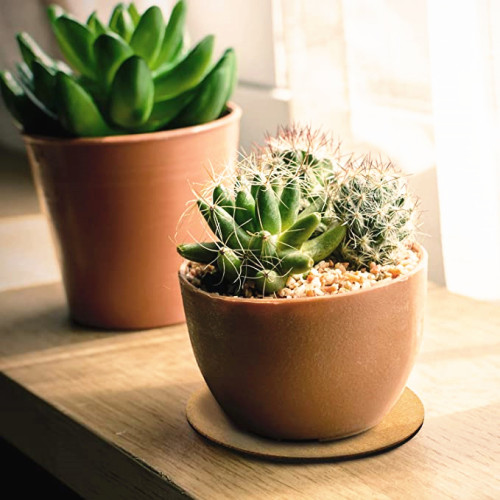 Factory Direct Sale Can Be Customized Cork Flower Pot Mat Home Cork + Plastic Plant Saucer