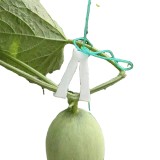 Durable Plastic Watermelon Tomato Hook Stalk Clips  Plant Hanging Hooks Hanging Hook