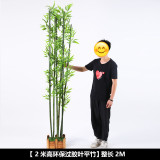 Indoor green decoration landscaping  bamboo balcony courtyard landscaping simulation plant flat headed Moso Bamboo
