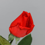 2021 source manufacturer home decoration flower arrangement moisturizing feel rose simulation bud