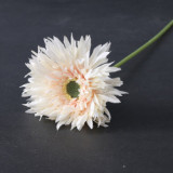Manufacturers wholesale long rod jinsiju living room decoration photography props artificial simulation single Flammulina