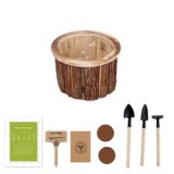 Home Garden Tools Wood Planter Box Mini Garden Tool Set Indoor Gardening Creative Gift Sets